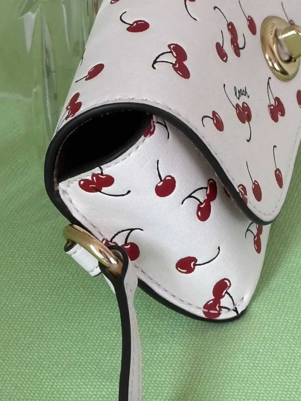 COACH SUNGLASS CASE W/ CHERRY PRINT:NWT CHALK/MULTI CFA49